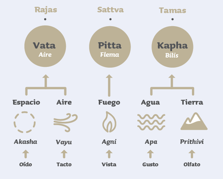 Relación entre doshas y efectos de los alimentos