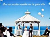 Novedades para bodas 2014 Boda Bonita