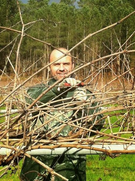 Vino Blanco Nice To Meet You 2012: Encantado de conocerte