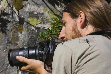 Aproximación a los Odonatos del Parque Natural Posets Maladeta. Aproximación a los Odonatos del Parque Natural Posets Maladeta.