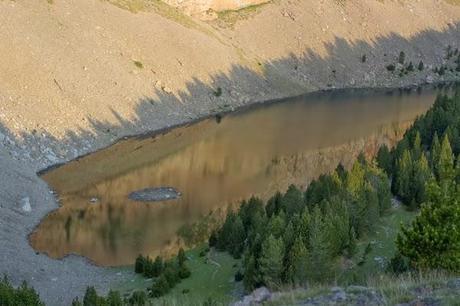 Aproximación a los Odonatos del Parque Natural Posets Maladeta. Aproximación a los Odonatos del Parque Natural Posets Maladeta.
