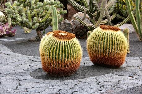 Jardín de los Cactus, César Manrique