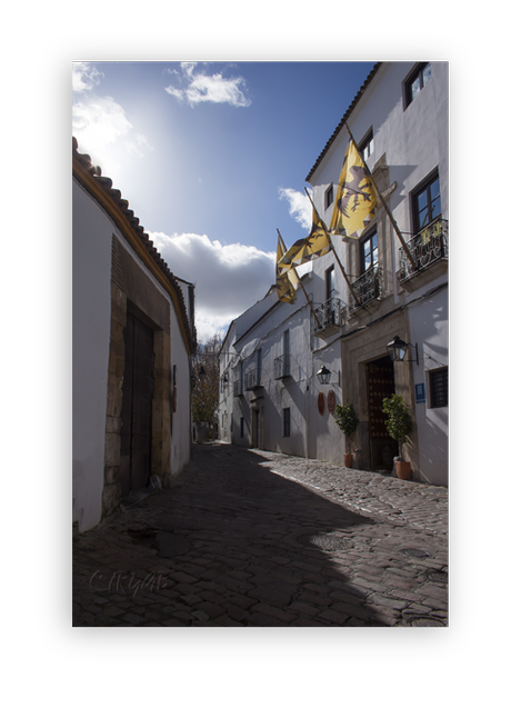 La Córdoba Gongorina