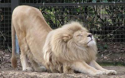 Nos relajamos sentados