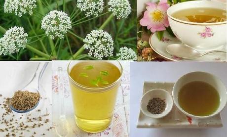 INFUSION O TE DE ANIS