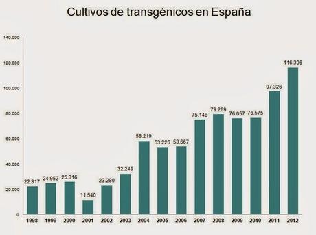 CULTIVOS TRANSGÉNICOS. LA SITUACIÓN EN ESPAÑA