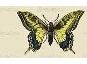 cuento chino Sueño Mariposa