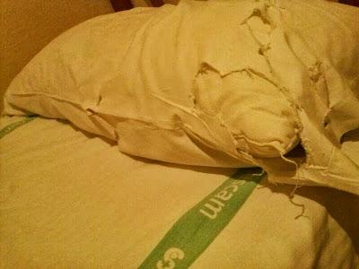 La sanidad del chiringuito ya no vale