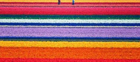 ALGUNOS DE LOS LUGARES MÁS BELLOS DEL MUNDO