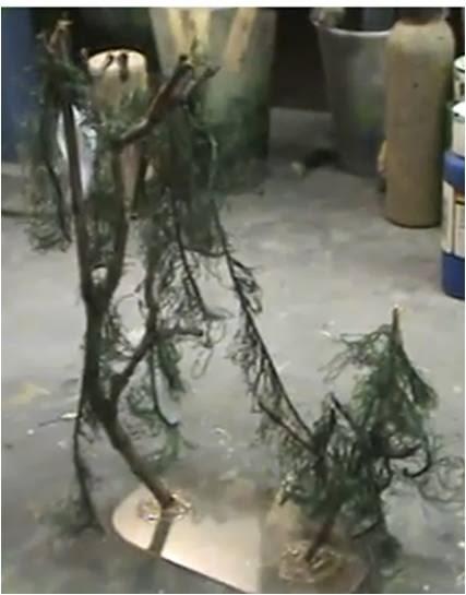 Cómo construir árboles de los pantanos