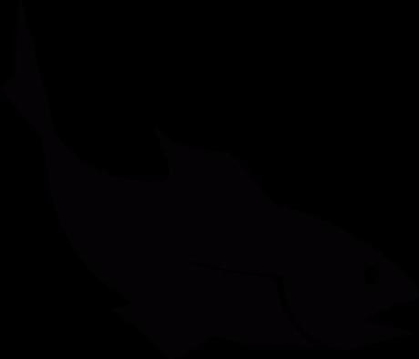 Salvemos los oceanos