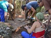 Localizado Cuba cementerio chino antiguo América