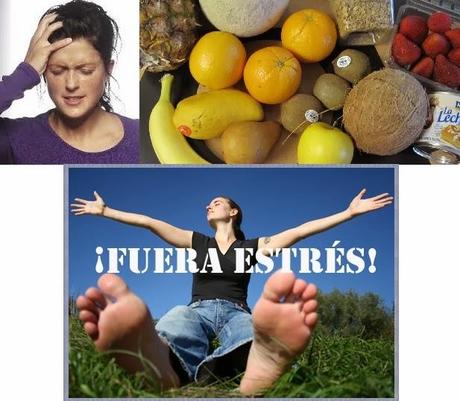 ALIMENTOS QUE REDUCEN EL ESTRÉS