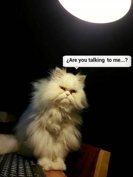 estamos tan agustito