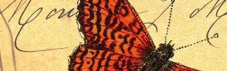 ENTREVISTA A ENCARNACIÓN SÁNCHEZ: Autora de Preguntas, Caleidoscopio y Luz Nítida