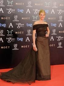 La alfombra roja de los goya 2014