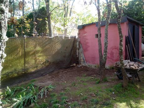 IMG 20131102 130507 Como hacer un gallinero para gallinas ponedoras.