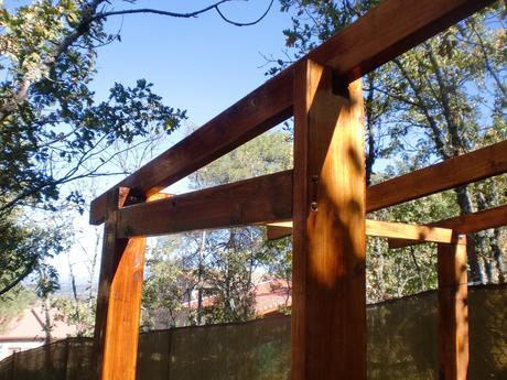 CIMG4037 Como hacer un gallinero para gallinas ponedoras.