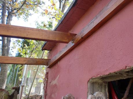 CIMG4013 Como hacer un gallinero para gallinas ponedoras.