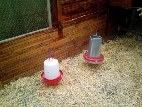 IMG 20131231 125635 Como hacer un gallinero para gallinas ponedoras.