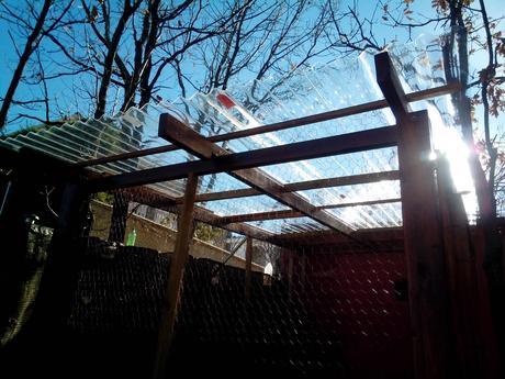 IMG 20131222 134247 Como hacer un gallinero para gallinas ponedoras.