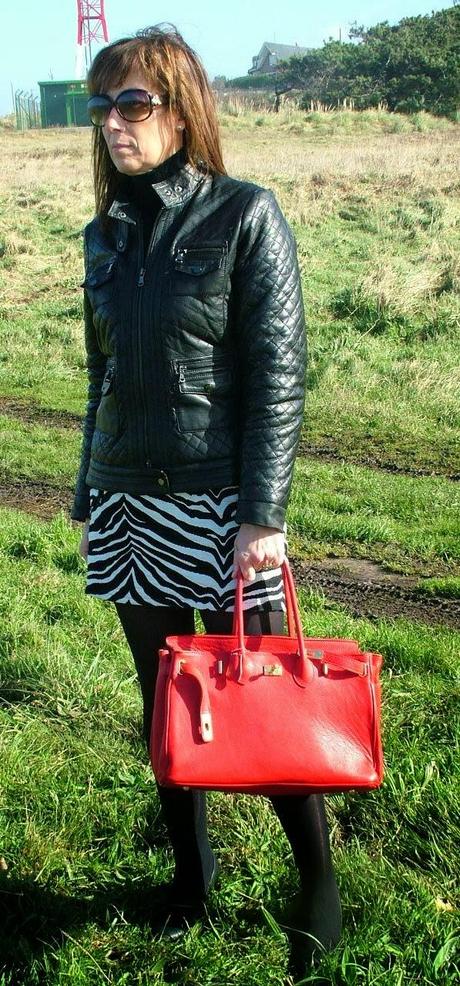 MIS LOOKS - FALDA ESTAMPADO CEBRA