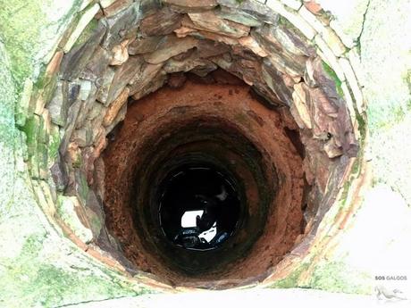 El fin de la temporada de caza.