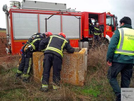 El fin de la temporada de caza.