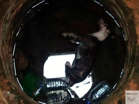 El fin de la temporada de caza.