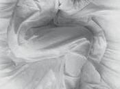 THOSE TELL TALES (Bosnia-Herzegobina; 2013) Drama