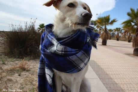 Outfit: Maxi-scarf