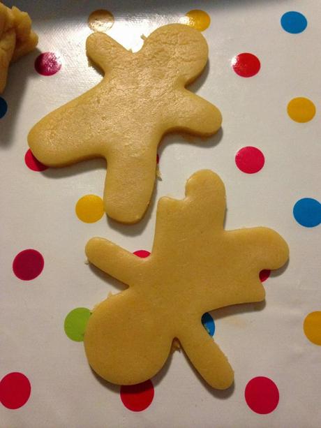 Galletas Canella en Rama