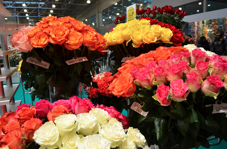 San Valentín y los Exportadores de Flores