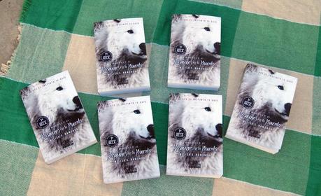 [ANUNCIO] POR FIN ESTÁN AQUÍ