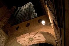 La Catedral de Toledo: Curiosidades (y II )