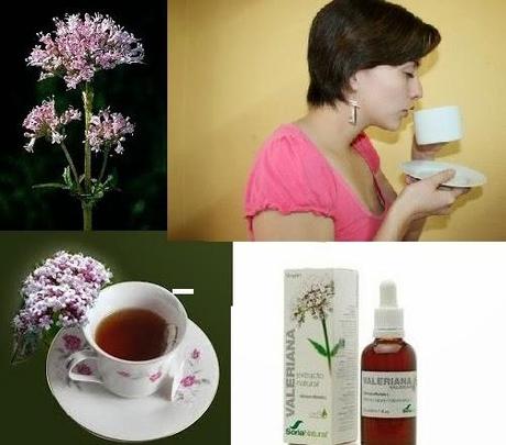 USOS DE LA VALERIANA