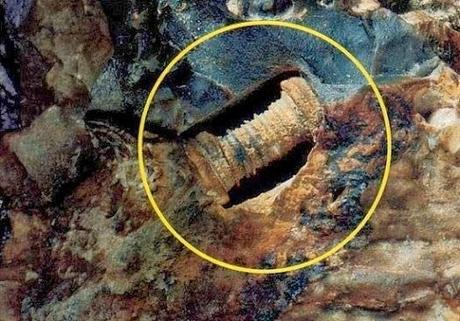 LOS MISTERIOS DEL TORNILLO DE 300 MILLONES DE AÑOS