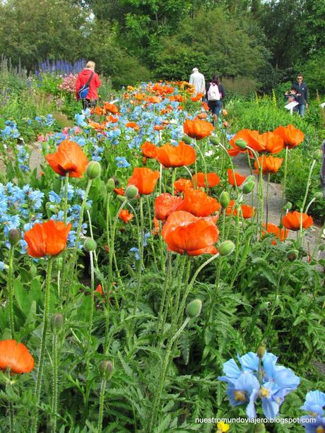 Akureyri; el lejano norte de Islandia