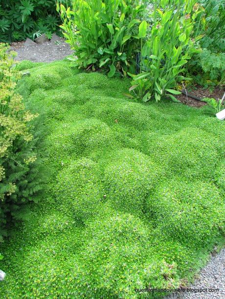 Akureyri; el lejano norte de Islandia