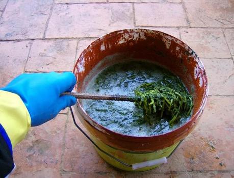 PREPARANDO EL PURIN DE ORTIGAS PARA LA TEMPORADA