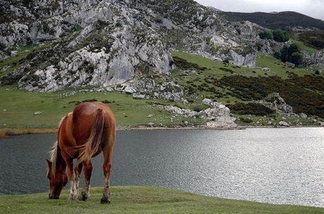 lago-ercina-asturias-lugares-historia