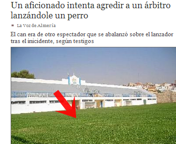 Animal sin clasificar lanza un perro al árbitro en Almería