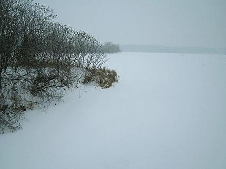 El lago Ontario congelado