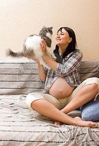 los riesgos de los gatos en el embarazo
