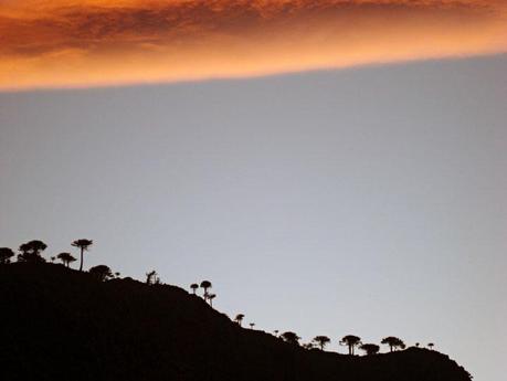 Atardecer en laguna La Escondida