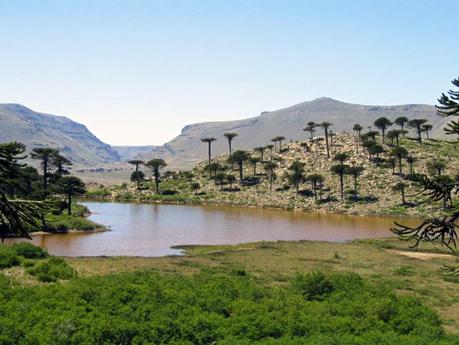 Laguna Escondida, Parque Provincial Copahue, Neuquen