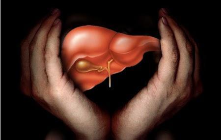 14 alimentos para limpiar tu hígado