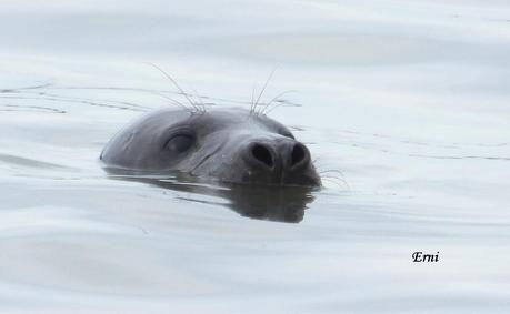 DELICATESSEN EN LA MARISMA