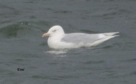 DELICATESSEN EN LA MARISMA