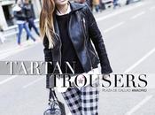 tartan trousers